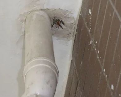 临猗漏水检测哪家好